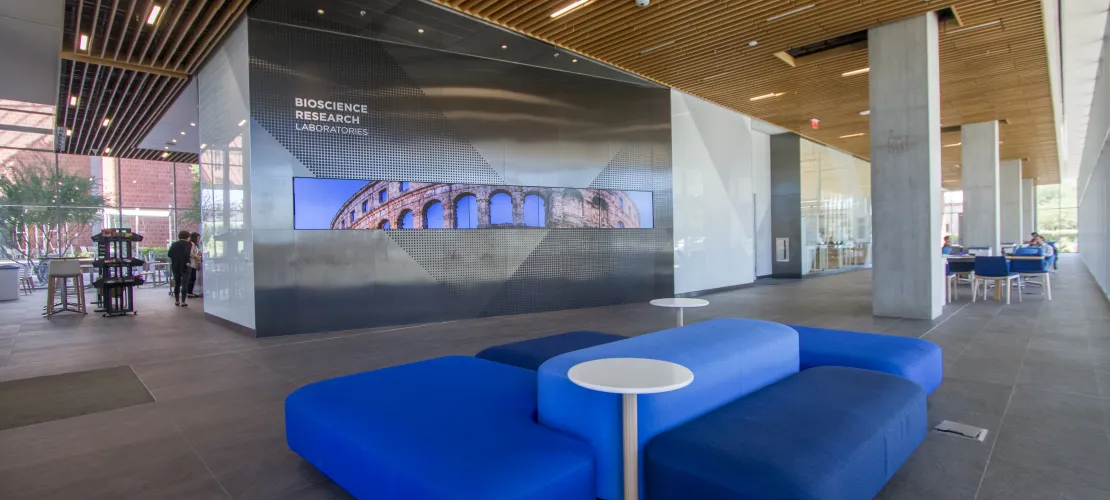Interior of BSRL South Lobby